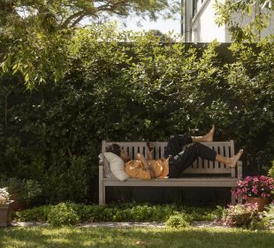 Summer Vibes Start in the Garden